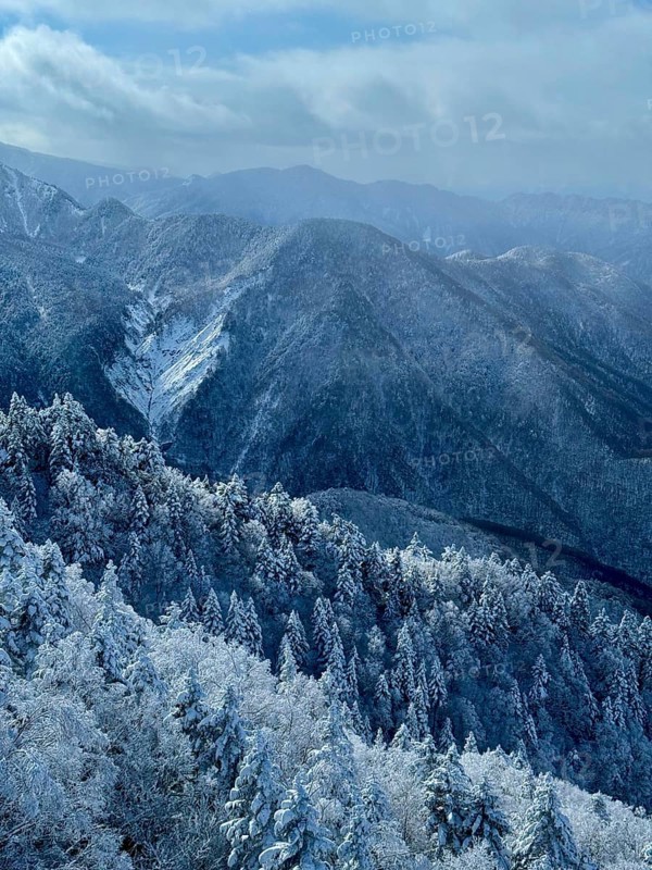 A snowy mountain panorama with wooded slopes under a cloudy sky, winter, snow, Chubu Sangaku National Park, Takayama, Gifu, Japan