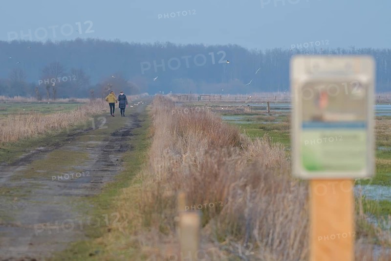 Two people ignore a protected area sign and walk along a blocked dirt road, surrounded by nature in soft colors, Dümmer nature park Park, Lower Saxony, Germany