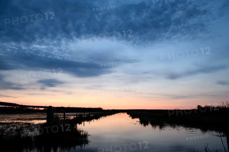A peaceful sunset is reflected in the quiet edge channel in Ochsenmoor under a blue sky, Dümmer nature park Park, Lower Saxony, Germany