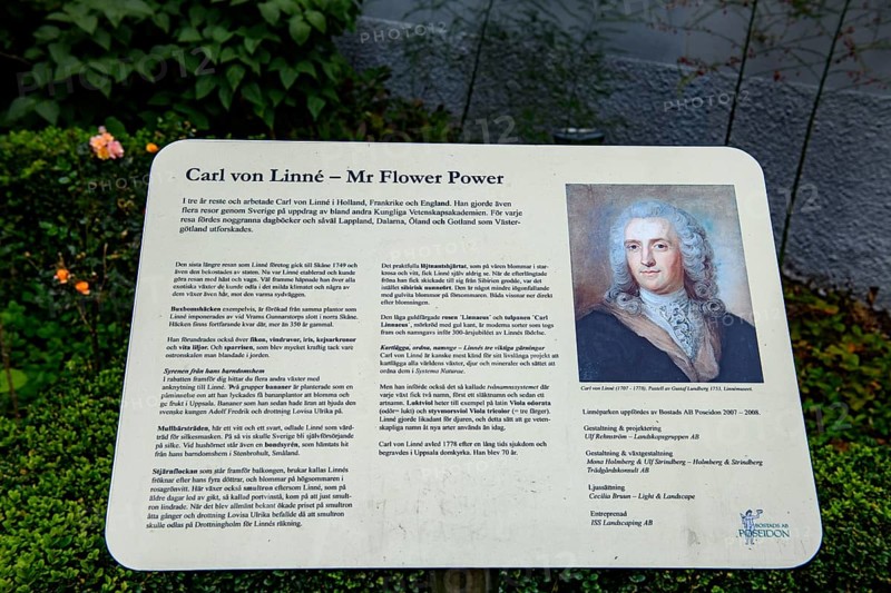 Information board about Carl von Linné with historical portrait and texts, information sign about Carl von Linné with biographical details and portrait in a garden, Gothenburg, Sweden