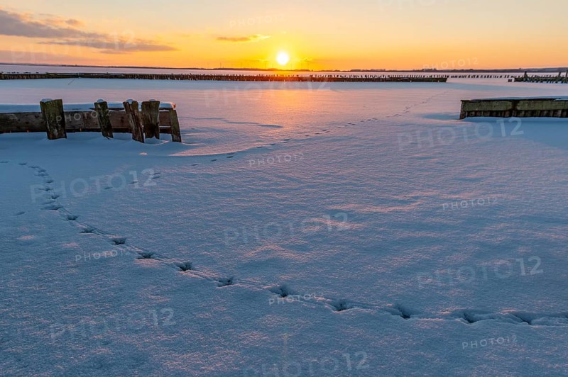 Snow-covered landscape at sunset with footprints in snow and calm atmosphere, snow-covered area of frozen Dümmer Lake with traces in the light of sunset in winter, Lembruch, Diepholz district, Lower Saxony, Germany