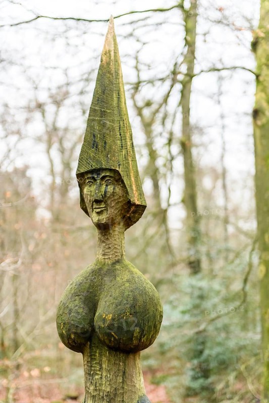Artistic wooden sculpture with the name Gaia's daughter by artist Wolf E. Schultz im Wald Hasbruch Public art with a mysterious and natural ambiance, Hasbruch, Lower Saxony, Germany