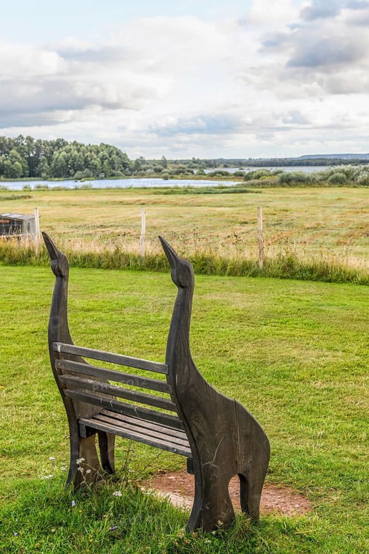 Wooden bench in the shape of birds in a meadow with a view of Horborgasjön Hornborga Lake and clouds in the sky, Broddetorp, Västra Götalands län, Sweden