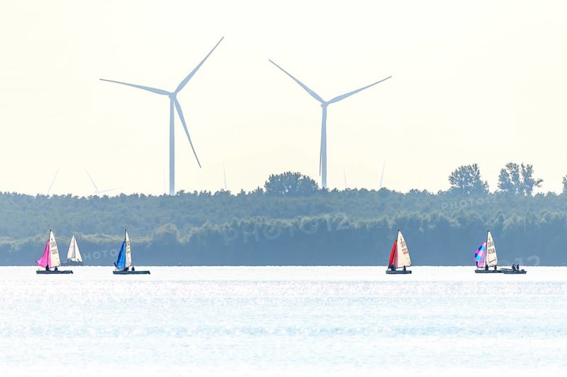 Several sailboats pirate regatta on Dümmer See with large wind turbines in the background, quiet minimalistic scenery, Lembruch, Dümmer See, Lower Saxony, Germany