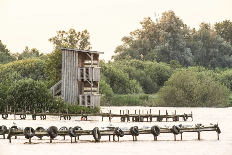 Observation tower at Olgahafen der Dümmer See Wooden tower on the water surrounded by trees, Dümmerlohausen, Damme, Lower Saxony, Germany