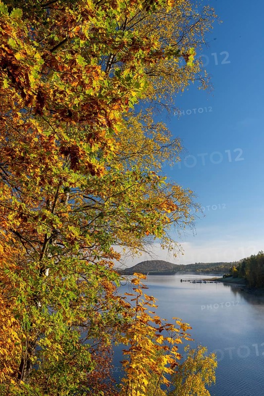 Autumn forest at Innerstestausee in the Harz Mountains, Innerstestausee, Goslar, Lower Saxony, Germany