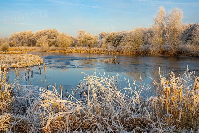 Winter hoarfrost at Ahlhorn fish ponds, Ahlhorn fish ponds, Ahlhorn, Lower Saxony, Germany