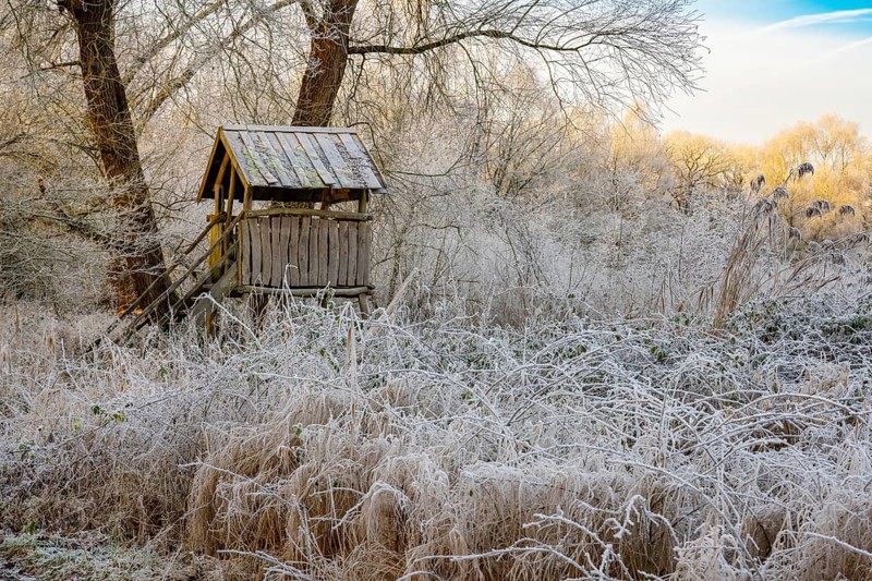 Winter hoarfrost at Ahlhorn fish ponds, Hochsitz, Ahlhorn fish ponds, Ahlhorn, Lower Saxony, Germany