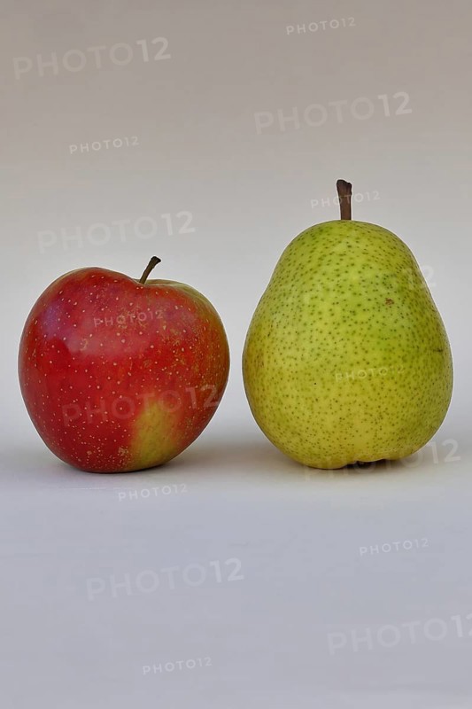 Apple (Malus) and pear (Pyrus communis), with white background, synonym for comparing apples with pears, Wilnsdorf, North Rhine-Westphalia, Germany
