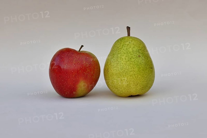Apple (Malus) and pear (Pyrus communis), with white background, synonym for comparing apples with pears, Wilnsdorf, North Rhine-Westphalia, Germany