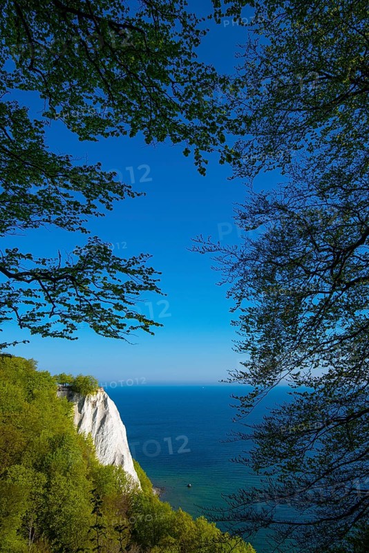 View of chalk cliffs in Jasmund National Park on Rügen, Königsstuhl, Sassnitz, Rügen, Mecklenburg-Western Pomerania, Germany