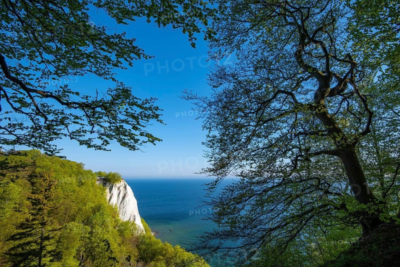 View of chalk cliffs in Jasmund National Park on Rügen, Königsstuhl, Sassnitz, Rügen, Mecklenburg-Western Pomerania, Germany