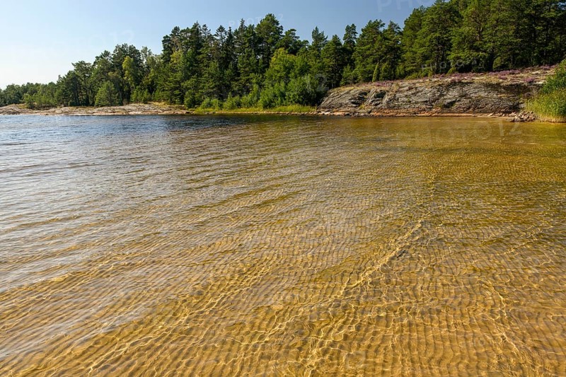 Clear water on sandy shore Beach surrounded by forest landscape under sunny sky, at Lake Vänern, Värmlandsnäs peninsula, Värmlands län, Sweden