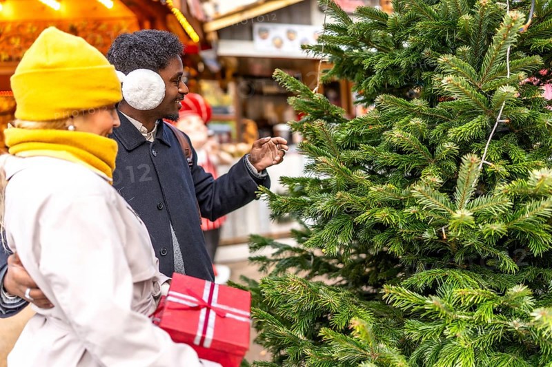 Diverse couple selecting a christmas tree at a festive outdoor market in paris, enjoying the winter holiday season together while carrying a wrapped gift box