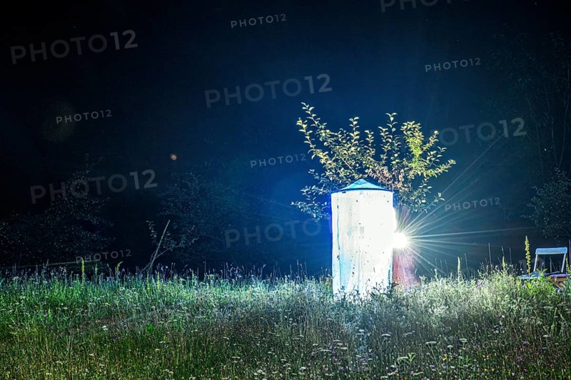 A brightly lit light tent Lichtfang stands in the middle of a traditional orchard next to trees, Diepholz district, Lower Saxony, Germany