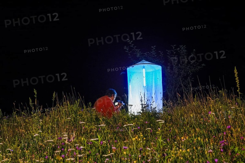 Person, biologist, butterfly researcher observing an illuminated tent Light catch full of insects in the middle of a blooming meadow at night, Diepholz district, Lower Saxony, Germany
