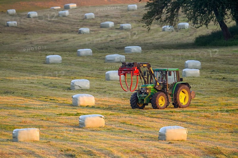 A tractor with front loader moves across a meadow with hay bales round bales in the warm light of the evening, Osnabrücker Land, Lower Saxony, Germany