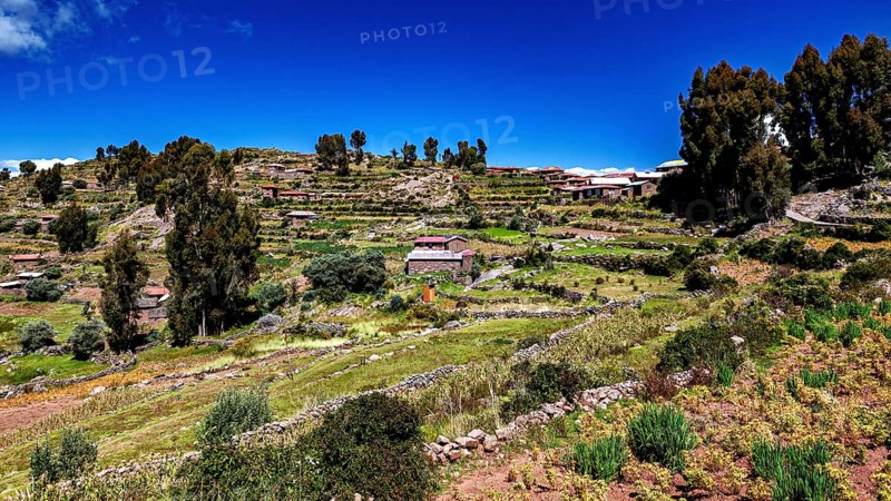 Staggered fields with huts under blue skies surrounded by vegetation, the countryside and farmhouses on Taquile Island in Lake Titicaca in Peru
