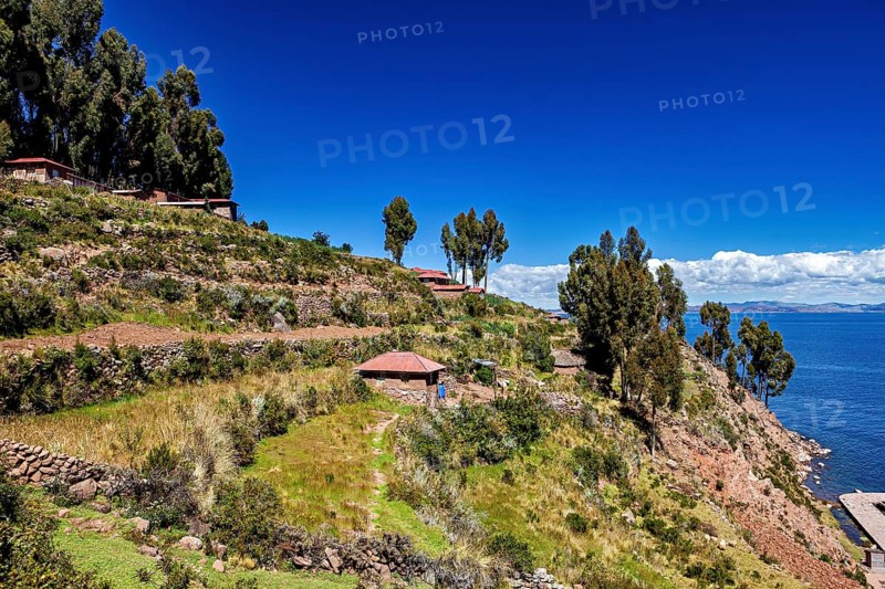 Terraces with huts and trees over a blue lake under clear skies, the countryside and farmhouses on Taquile Island in Lake Titicaca in Peru