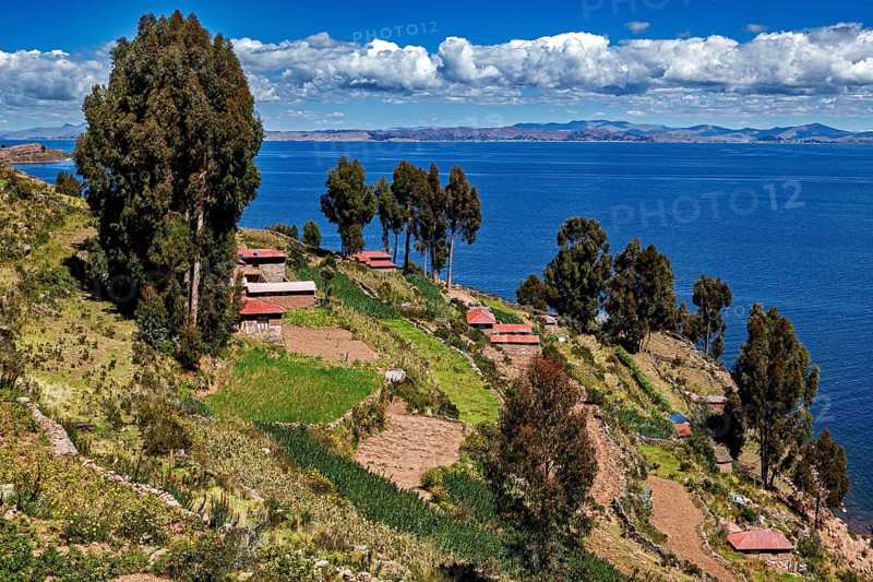 Cabins on terraces with trees and views of blue lake under clear skies, countryside and farmhouses on Taquile Island in Lake Titicaca in Peru