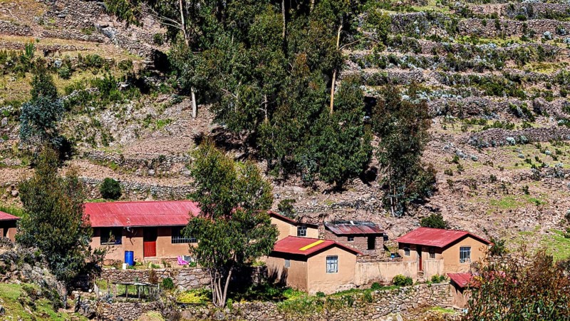 Small farm houses and terraced landscape on a hill with stone walls and trees, The countryside and farmhouses on the island of Taquile in Lake Titicaca in Peru