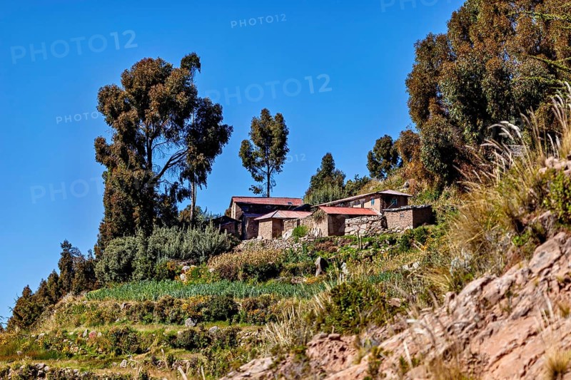 Stone farm houses on a hill surrounded by trees under a clear blue sky, the countryside and farmhouses on Taquile Island in Lake Titicaca in Peru