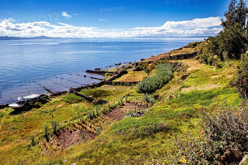 Coastal landscape with fields and vegetation on the shores of a large lake under blue sky, The countryside and farmhouses on Taquile Island in Lake Titicaca in Peru