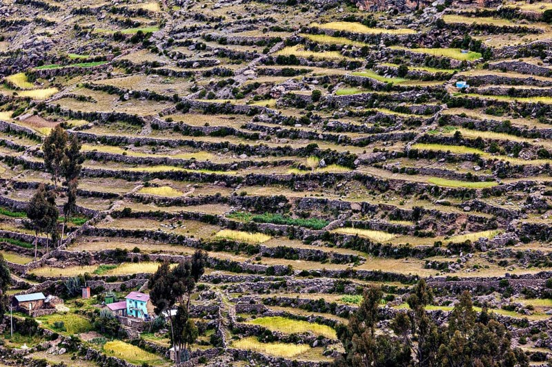 Wide terraced landscape on a hill with isolated farm houses and vegetation, the countryside and farmhouses on the island of Taquile in Lake Titicaca in Peru