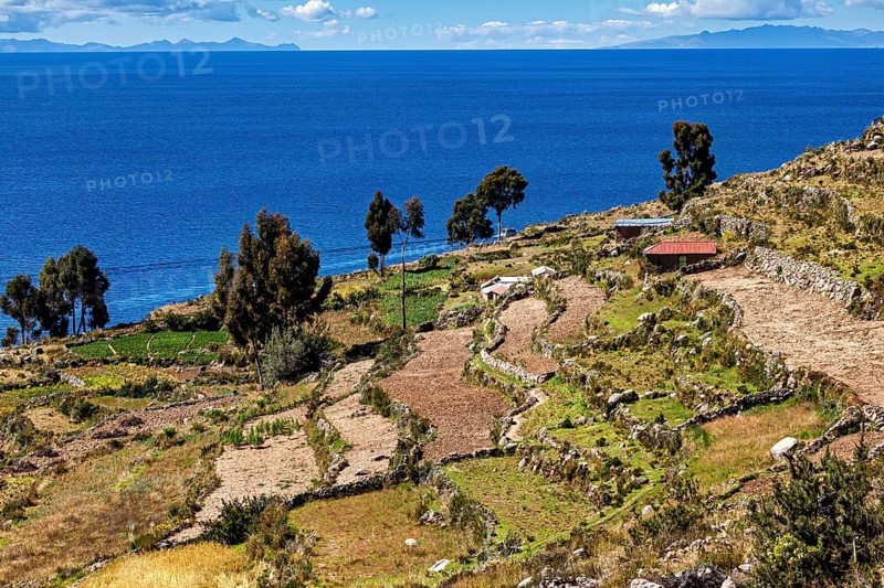 View of terraced fields on the shores of a deep blue lake with islands emerging in the background, the countryside and farmhouses on the island of Taquile in Lake Titicaca in Peru