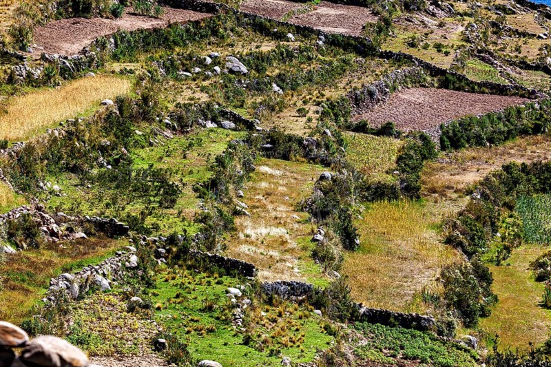 Close-up of terraced fields dotted with vegetation and surrounded by rock walls, the countryside and farmhouses on Taquile Island in Lake Titicaca in Peru