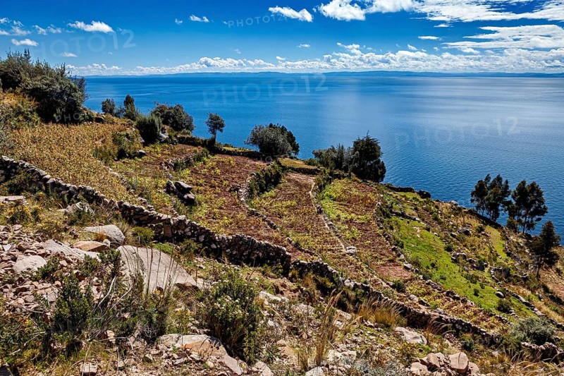 View of a large lake and planted fields that contribute to a quiet and peaceful landscape, The countryside and farmhouses on Taquile Island in Lake Titicaca in Peru