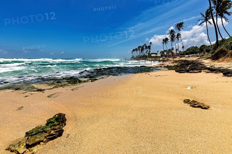 A sunny beach with palm trees on the ocean, waves meet the sand, blue sky, Koggala beach with stilt fishermen in Sri Lanka
