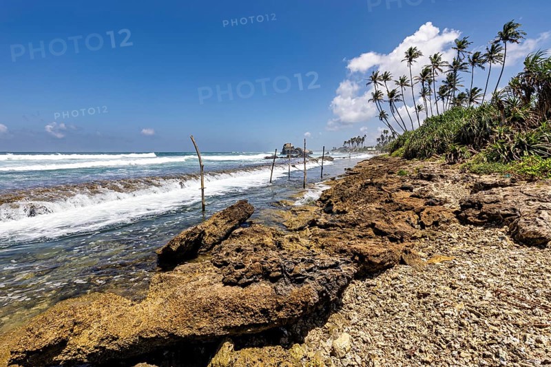 Rough beach with rocks, palm trees and waves in the midday sun, Koggala beach with stilt fishermen in Sri Lanka