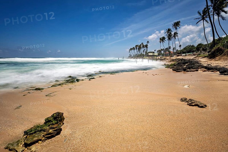 A sunny beach with palm trees and blue skies, waves hitting the shore, Koggala beach with stilt fishermen in Sri Lanka