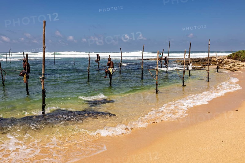 Fishermen sitting on stilts above sea in sunny skies, Koggala beach with stilt fishermen in Sri Lanka