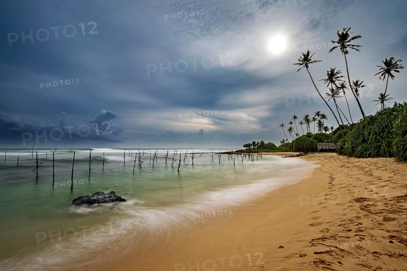 Beach landscape with wooden posts and palm trees at sunset, Koggala beach with stilt fishermen in Sri Lanka