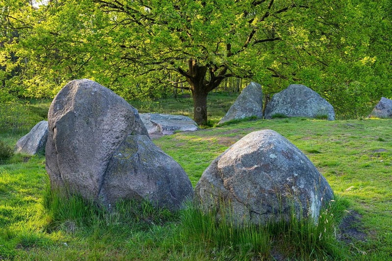 Glan Bride, Glander Steine, megalite grave, megalite culture, Dötlingen, Lower Saxony, Germany