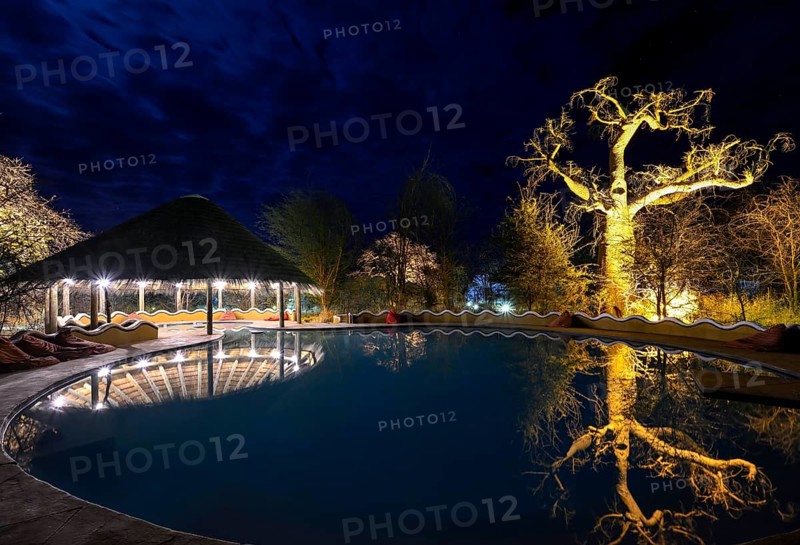 Planet Baobab swimming pool, lodge near the village of Gweta, Makgadikgadi Pans National Park, Central District, Botswana