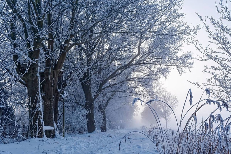 Hiking trail, Unterer Warwischer Wasserweg, in the snow on a hazy winter day in Hamburg's Vier- und Marschlanden. Kirchwerder, Hamburg, Germany