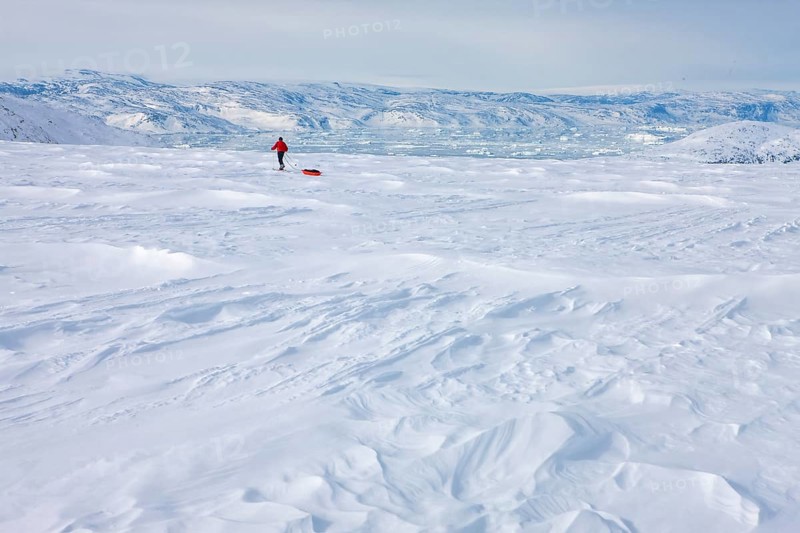 A tourist on a winter Arctic expedition skiing along Ikasartivaq Fjord, Sermersooq municipality, north of Ammassalik Island and facing Sermilik, Greenland, North America