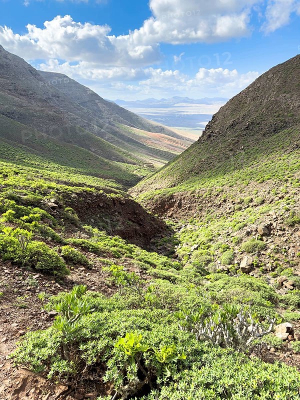 View of the green valley of Risco de Famara against a blue sky with white clouds, Caleta de Famara, Lanzarote, Canary Islands, Spain