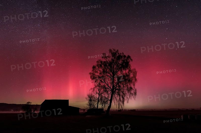 Northern lights, aurora borealis, solar storm, January 2026, red, green, hut, trees, birch, Loisach-Lake Kochel-Moore, Alpine foothills, Bavaria, Germany