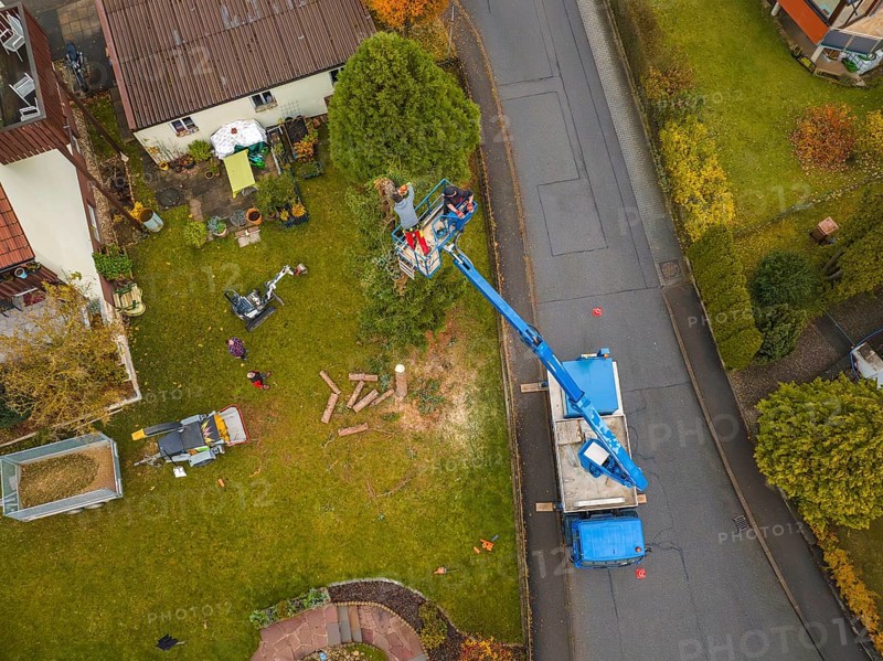 Work scene viewed from above with lift and vehicle on a green area in the suburbs, tree work, Gechingen, Calw district, Germany