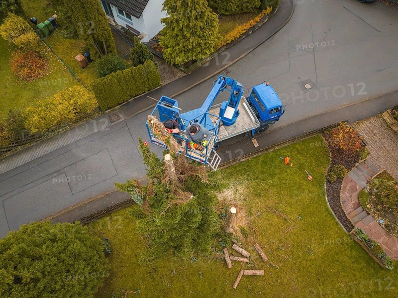 Aerial view of men on a lift working on a tree surrounded by a residential area, tree work, Gechingen, Calw district, Germany