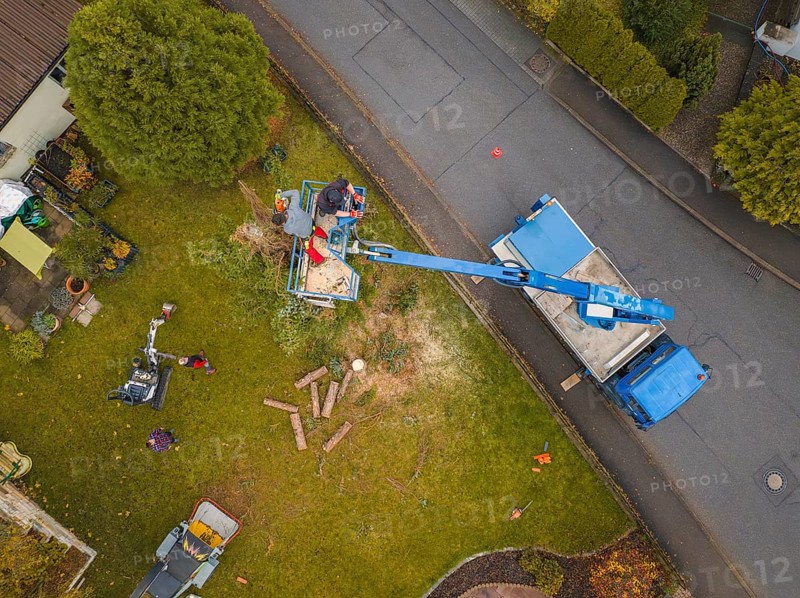 Fence, tree cutting with crane, worker removing branches on green field, autumn landscape, tree work, Gechingen, Calw district, Germany