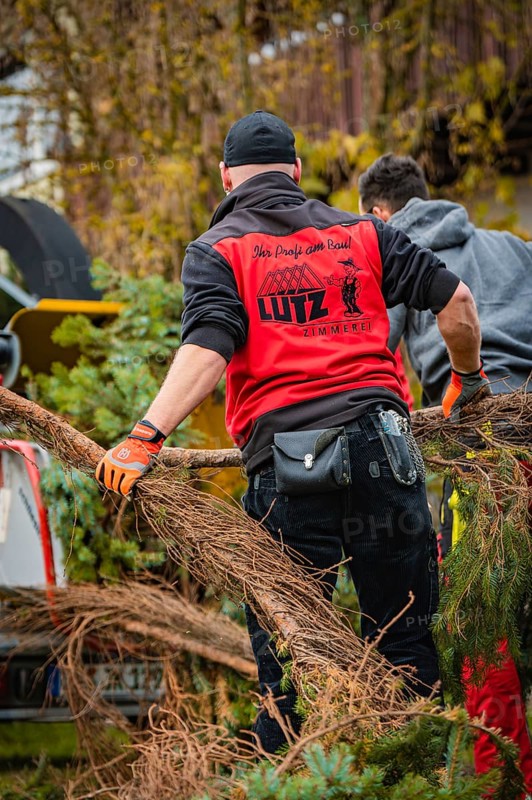 Two workers wearing protective clothing cut off branches of a tree, tree work, Gechingen, Calw district, Germany