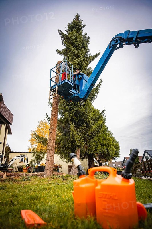 Workers on crane remove branches of a tree, gas cans in the foreground, tree work, Gechingen, Calw district, Germany