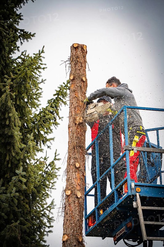 Two workers on crane platform cut tree trunks, chips fall, tree work, Gechingen, Calw district, Germany