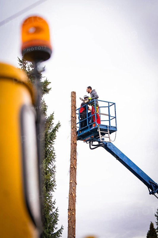 Two men work on a lift while felling a tree, tree work, Gechingen, Calw district, Germany