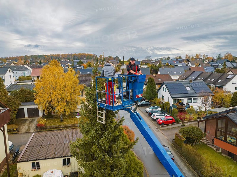 View of workers in a lift in front of a panorama of an autumnal residential area, tree work, Gechingen, Calw district, Germany